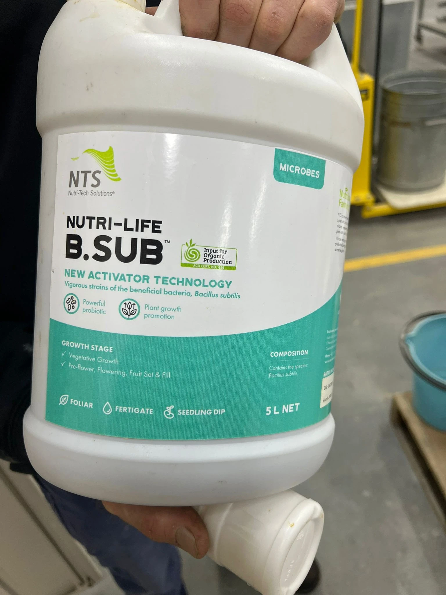 Bacillus subtilis bacteria solution